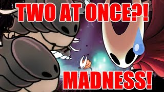 Modded Silksong Boss Fight Savage Beastfly X2 Insane Double Battle