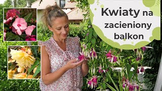 Kwiaty na zacieniony balkon i taras. Jakie rośliny lubią cień na naszym balkonie czy tarasie?