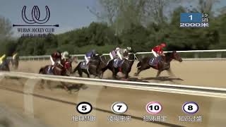 20181028 China Flat Racing Tournament 4YO+ 2000m (Race 1) 全国速度赛马锦标赛 第1场 4岁及以上马组2000米