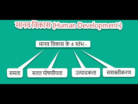 मानव विकास के चार स्तंभ l Four pillars of human development l Manav ...