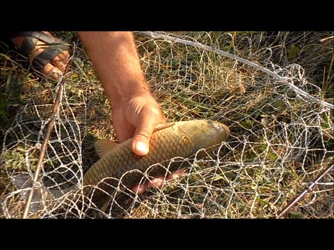 Ловля карпа и белого амура на пружину &quot;Маодзедун&quot;.My fishing.