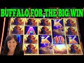 Winning big on buffalo link slot  las vegas slots  cosmopolitan casino las vegas  las vegas 2024