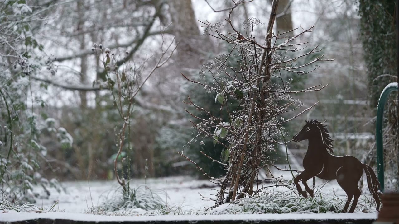 Winterliche Impression, 13. Februar 2026