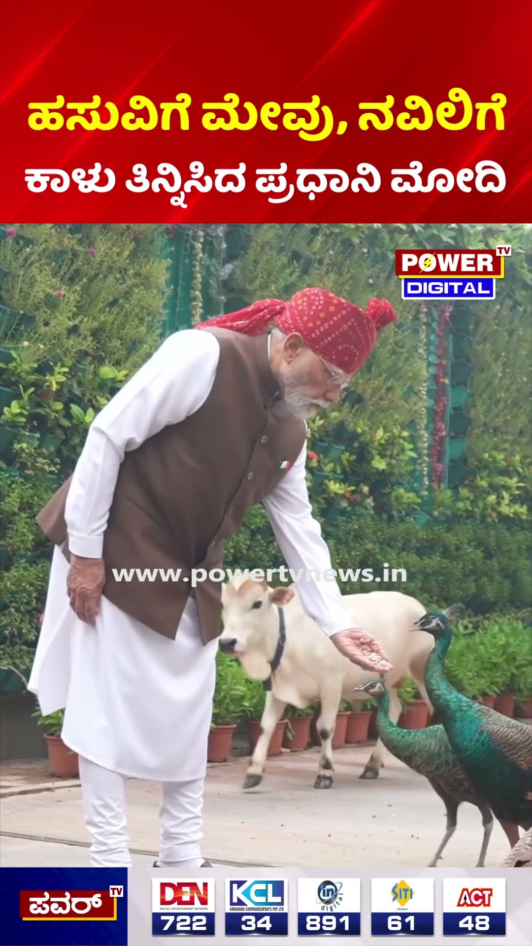 PM Modi with Cows & Peacocks | ಹಸುವಿಗೆ ಮೇವು, ನವಿಲಿಗೆ ಕಾಳು ತಿನ್ನಿಸಿದ ಪ್ರಧಾನಿ ಮೋದಿ