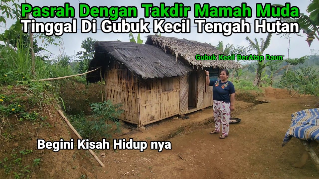 Pasrah Dengan Takdir Mamah Muda Tinggal Di Gubuk Kecil Tengah hutan