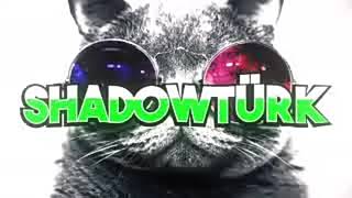 SHADOW Türk, gereksiz oda, ozan berkil,Ahmet aga, introları