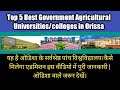 Top 5 best government  agricultural universities colleges in odisha  favorite 5 list