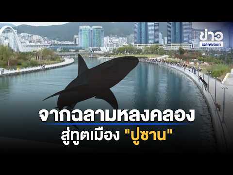 From a shark lost in a canal to an ambassador for Busan: Over 600,000 people flock to see it | Ou...