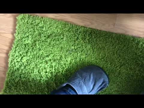 2016 Dyson Small Ball Total Clean (UP15) After Refurbishment And Tool Demo
