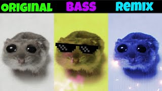 Sad Hamster Original vs Remix vs Bass part 3