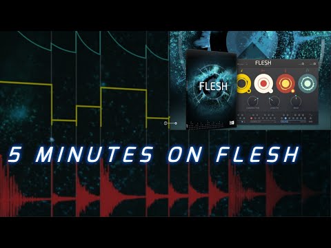5 Minutes On: FLESH from Native Instruments