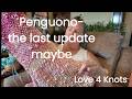 Penguono-the last update.....Maybe