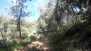 Verso Rossomanno