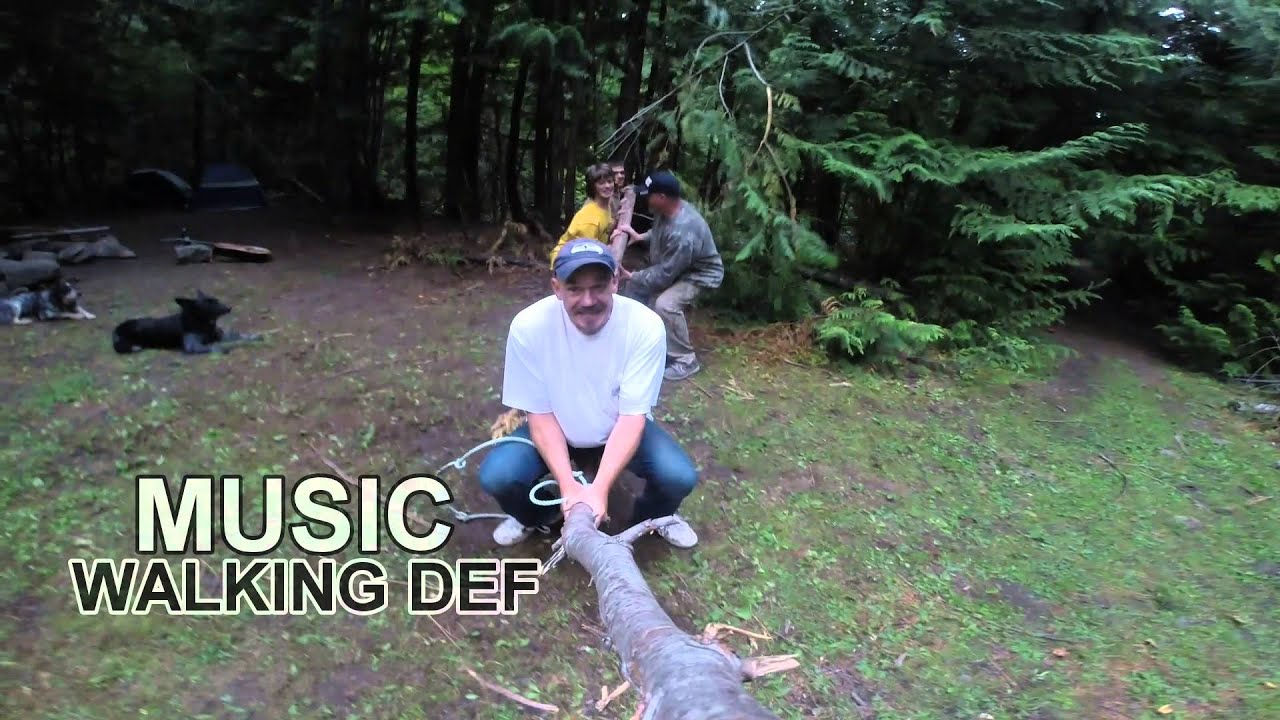 The Bungee Tree - YouTube
