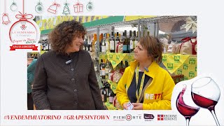 Grapes in Town - Effetto Bio - Xmas Edition -  Intervista a Paola Casagrande