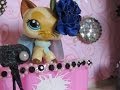 LPS Music Video: Fancy (Madilyn Bailey Guitar Cover for 300+)