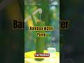 The Secret Behind the Bamboo Hand Pump #Factozian #PrimitiveSkills #BambooDIY #WaterPump