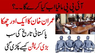 IPPs scandal report and Prime Minister Imran Khan commitment .