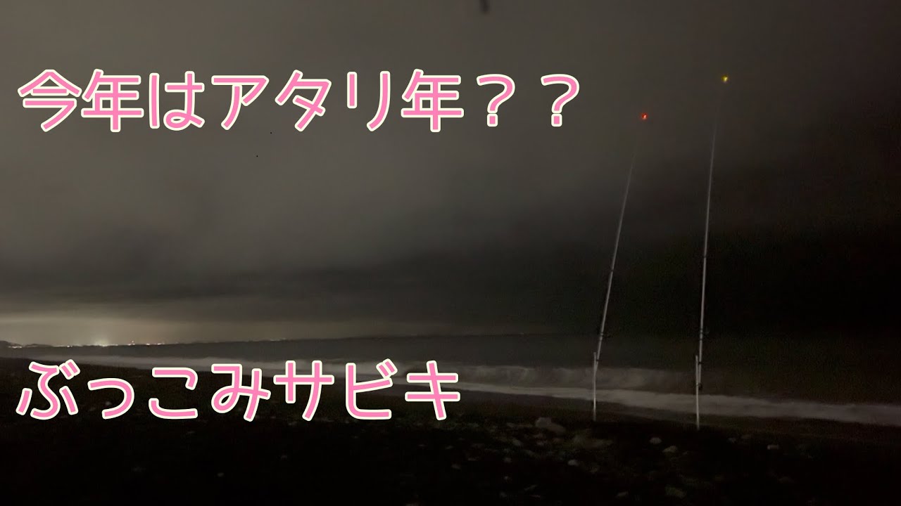 西湘サーフ　６月アジ釣り　好調　No.７３
