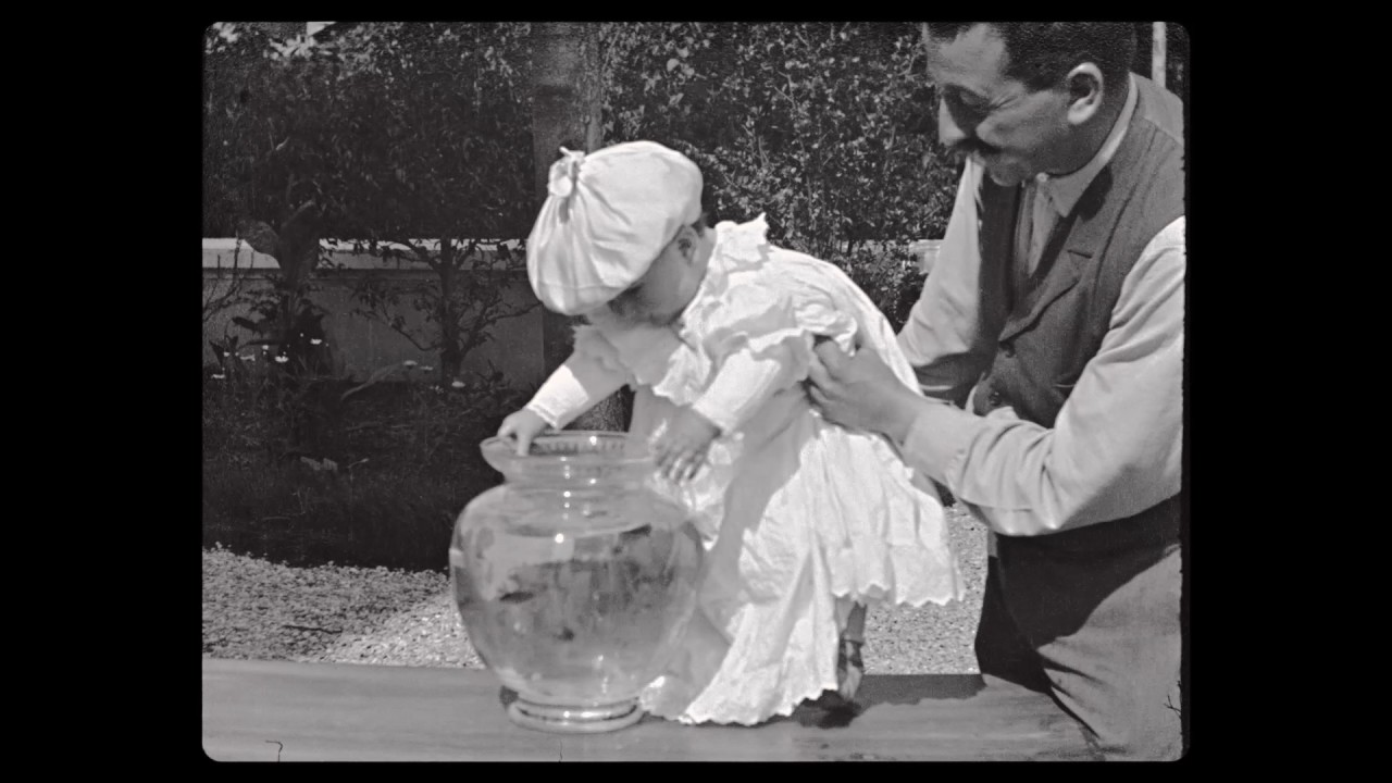 Люмьеры!\Lumière! Трейлер (русский язык) 2016\РФ 2017