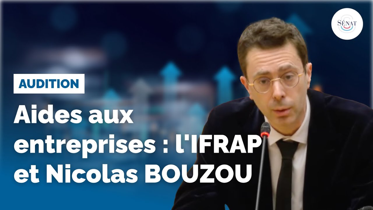 Aides aux entreprises : audition de l'IFRAP et de Nicolas Bouzou