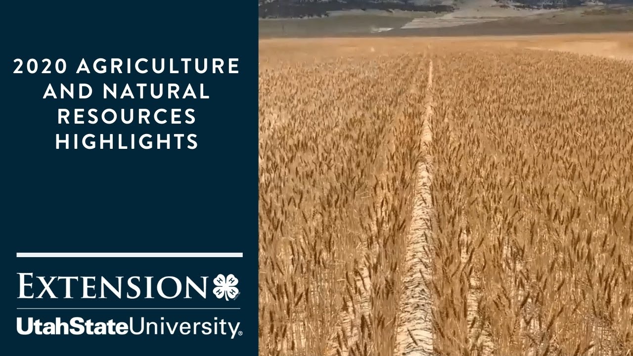 Utah State University Extension 2020 Agriculture and Natural Resources