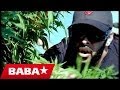 BABASTARS - HIGH (Official Video 2012)