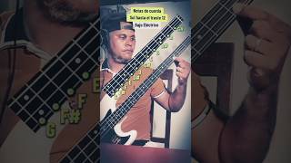 Notas de la cuerda Sol - Tutorial bajo eléctrico #bass #musicos