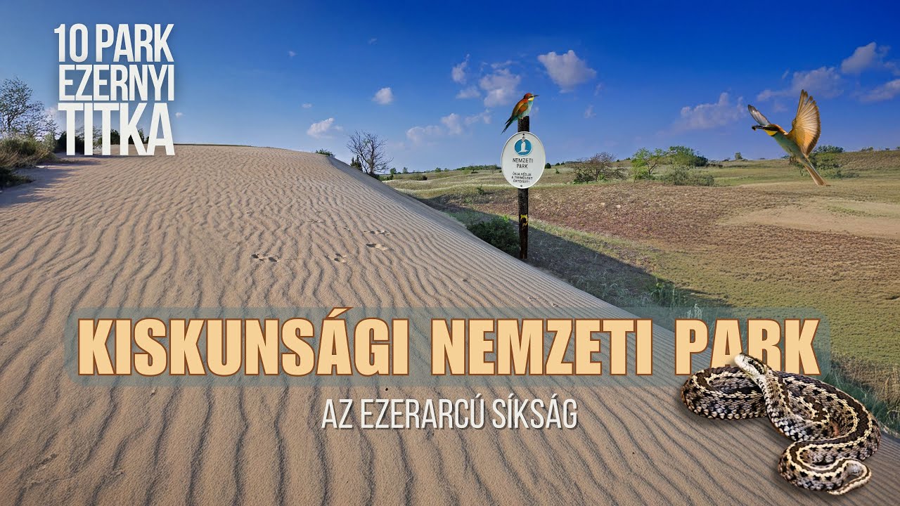 Секреты национального парка Кишкуншаг Равнина тысячи лиц