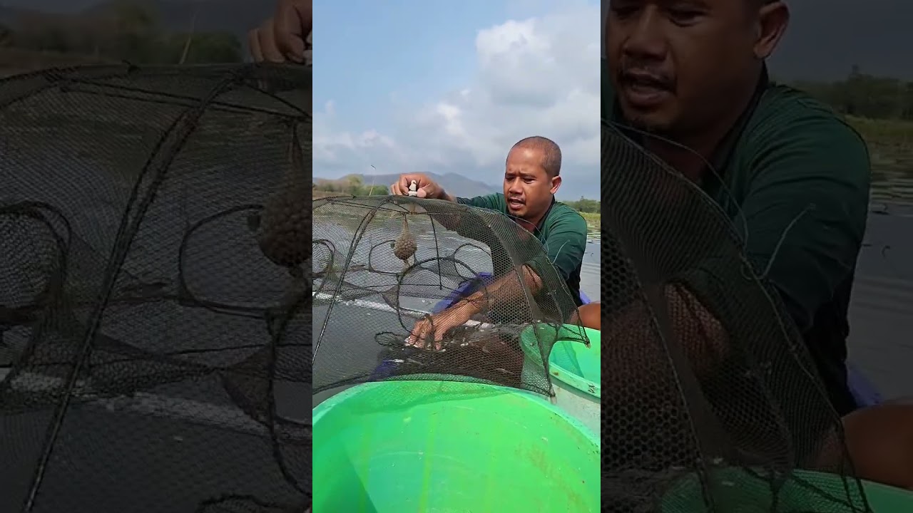 บอกวิธีการหาปลาบู่ แบบใส่ลอบจะเข้าไหม??