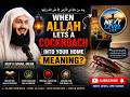 🪳COCKROACH? | A Cockroach in Your House? | Listen to This First | Mufti Menk | NEXT LEVEL LIFE VLOGS