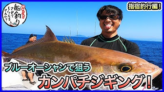 記録更新 ジギングで大型カンパチ ディープライナースパイvで炸裂 高知県 Youtube