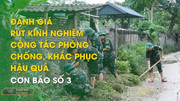 Đánh giá, rút kinh nghiệm công tác phòng, chống, khắc phục hậu quả cơn bão số 3 | Thái Nguyên TV