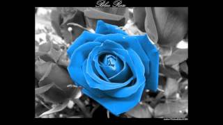 Video voorbeeld van "Anything Box - Blue Little Rose (deejayWESTBROOK's Extended Mix)"