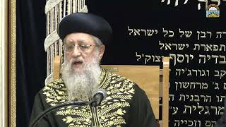 הנחת תפילין וקריאת שמע בתשעה באב   מתי ואיך？ I מרן הראשון לציון הגאון רבי דוד יוסף שליט＂א אב ה׳תשפ״ו