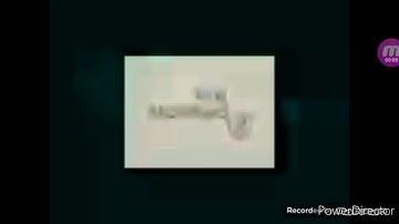 (Requested/YTPMV) I Accidentally Perspective Films Scan Luigi Group