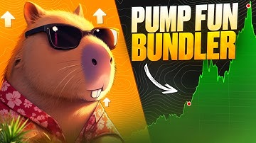 Best Pump Fun Bundler - CapybaraTools / Pump Your Memecoins / Rug Pull Pump Fun / Solana Memecoins