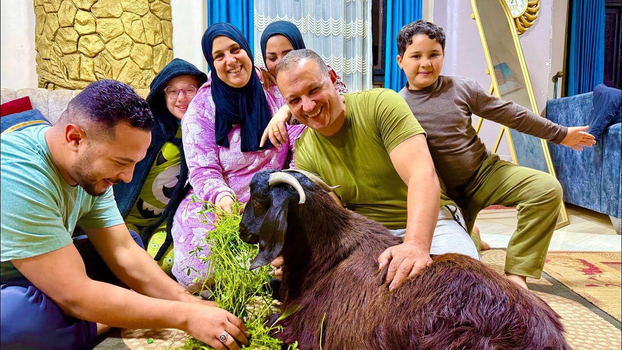 عملتلهم مفاجأة ￼🤔وقولت اجمعهم ولمهم زي زمان 😂(جوّعوني )😂😂