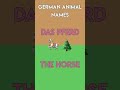 German Vocabulary: Animals 🐶🐱 #shorts #learngerman #germanA1