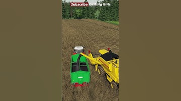 Canola Harvest & shifted to trailer I timelapse I fs19 #shorts