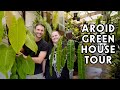 Tropical houseplant oasis  an updated tour of the growing grounds greenhouse with aj
