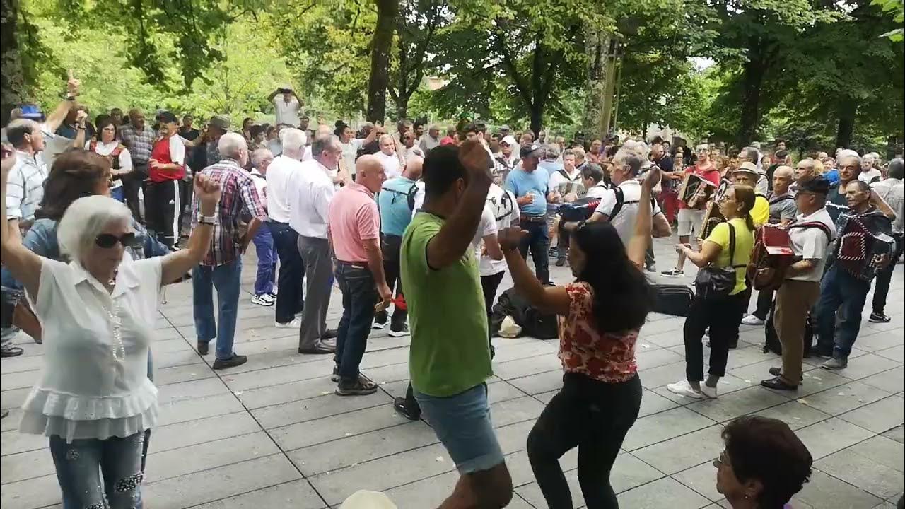 Concertinas Dançar Folclore nos Arcos YouTube