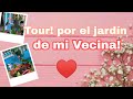 TOUR! Por el jardín de mi vecina💚 y Tips para el cuidado de tus Anturios