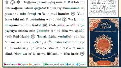 ختمة من مصحف التجويد باللغة الإسبانية الصفحة رقم 334
