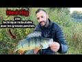 Norme perche en ultra light pche au ned rig