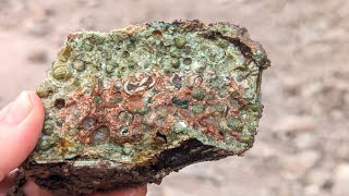 Rockhound Life THUNDER EGG Park, finding Ryolite | Rain Forest Jasper & Variscite