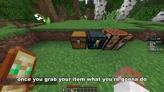 NEW Donut SMP Dupe STILL WORKING Wealth
