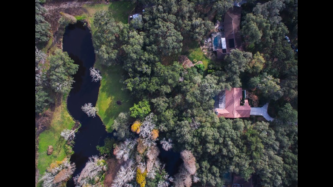 Homes for sale in Seffner, FL 4/3.5/2 with 2+ Beautiful Acres & Pool