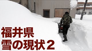 晴のち雪 Amazon | 閃乱カグラ SHINOVI VERSUS -少女達の証明- 雪泉 1/6