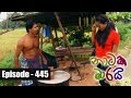 Naataka Maarai Hathedi Maarai - Ep 445 | Bada Irigu ( 02-03-2017 )